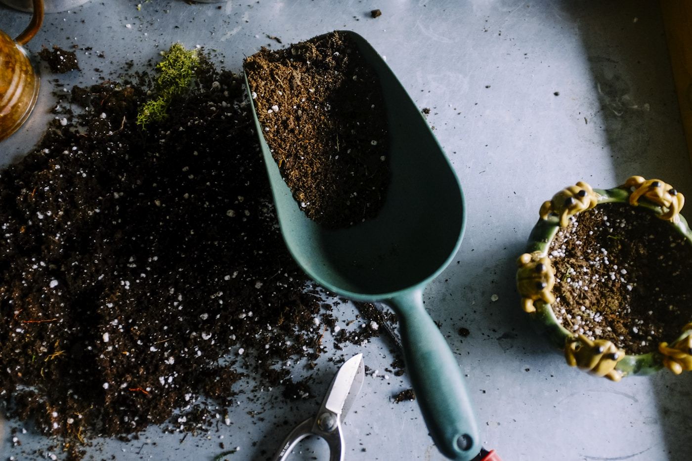 Jardin méditerranéen conçu par l'atelier Olivare